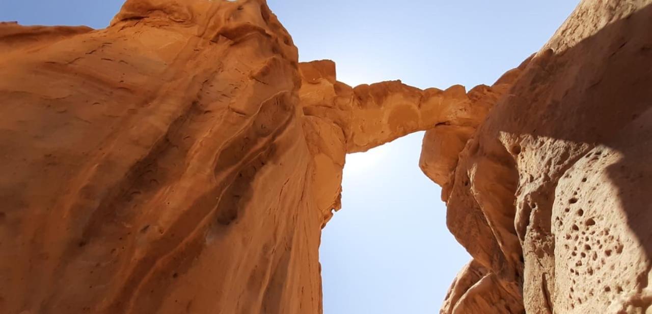 Bedouin Holidays Camp And Jeep Tours 瓦迪拉姆 外观 照片