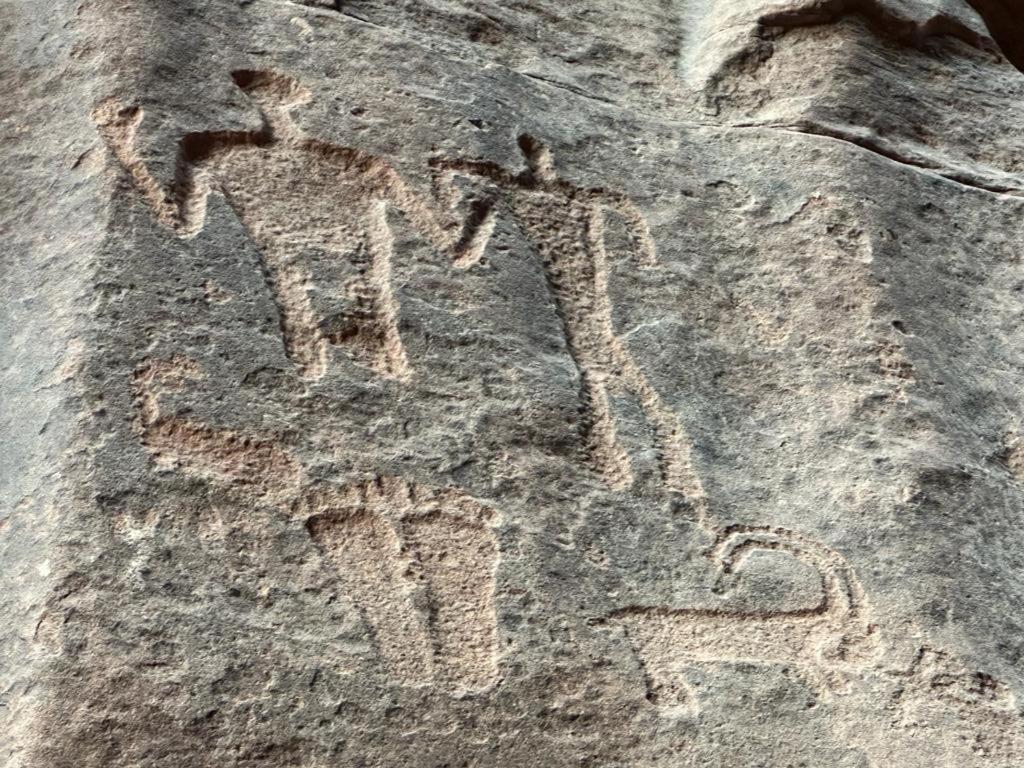 Bedouin Holidays Camp And Jeep Tours 瓦迪拉姆 外观 照片