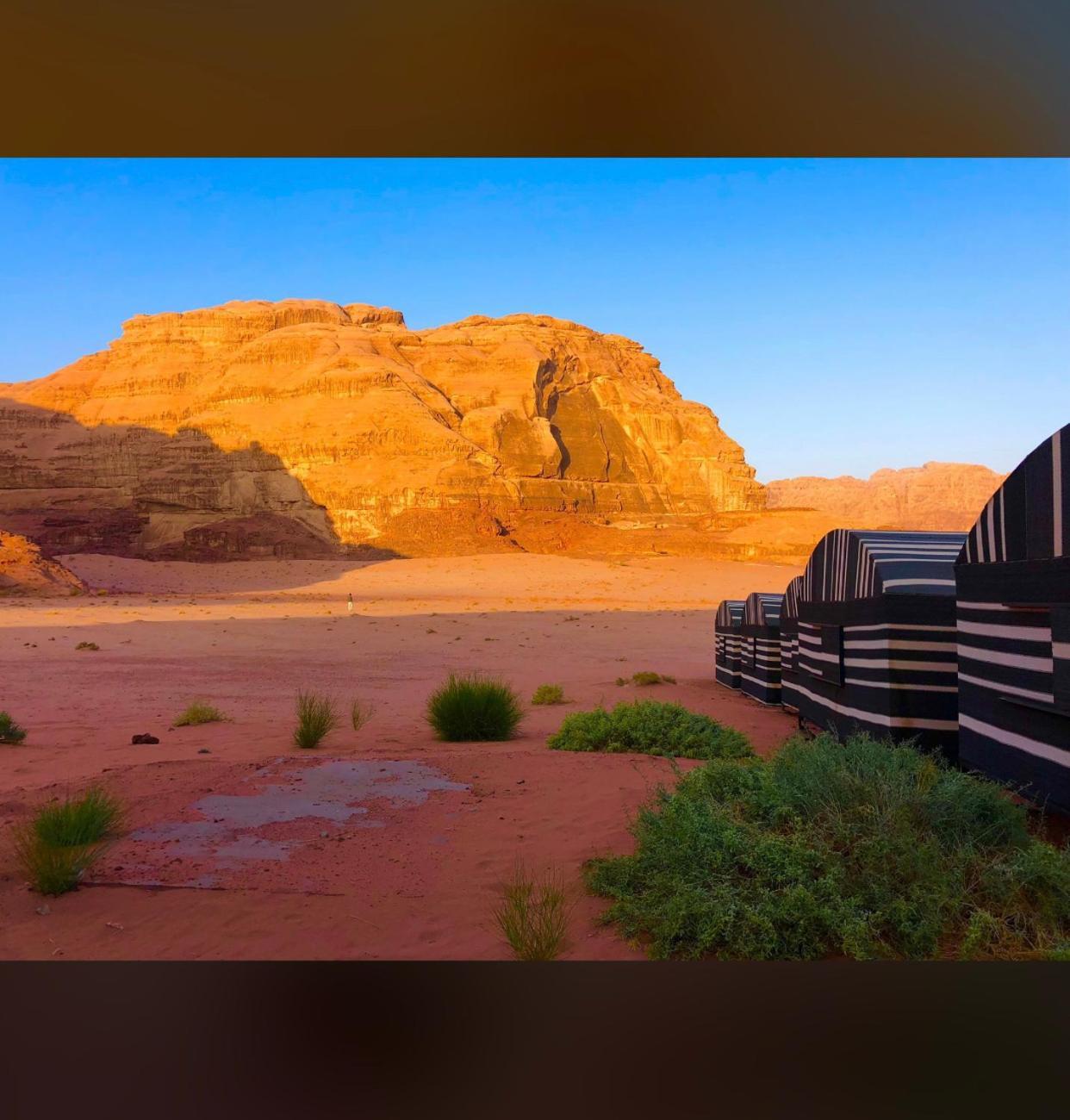 Bedouin Holidays Camp And Jeep Tours 瓦迪拉姆 外观 照片