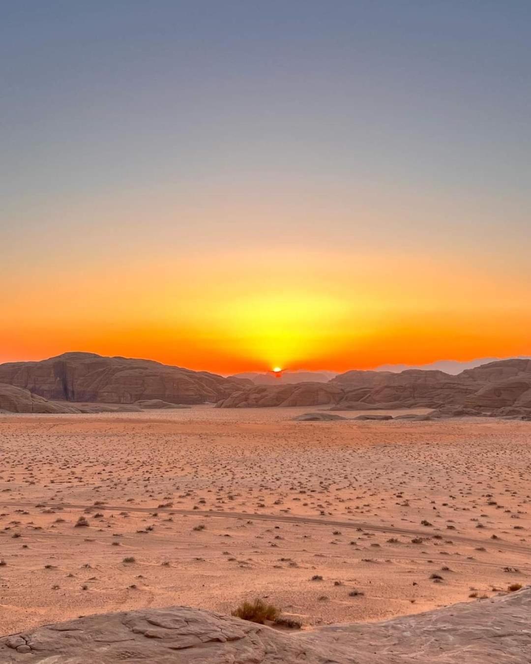 Bedouin Holidays Camp And Jeep Tours 瓦迪拉姆 外观 照片