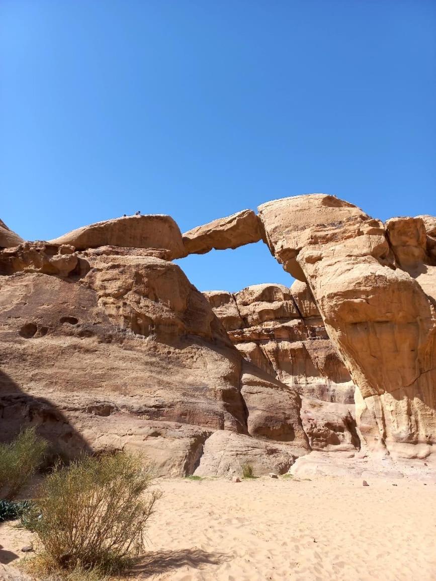 Bedouin Holidays Camp And Jeep Tours 瓦迪拉姆 外观 照片