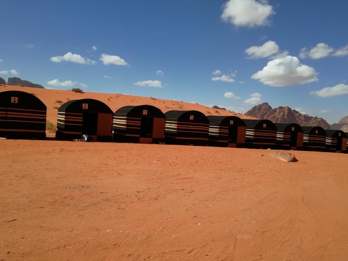 Bedouin Holidays Camp And Jeep Tours 瓦迪拉姆 外观 照片